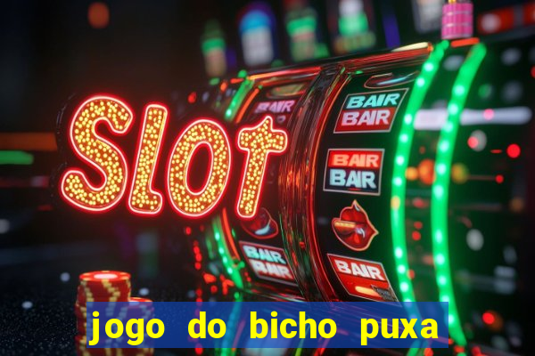 jogo do bicho puxa de dona maria